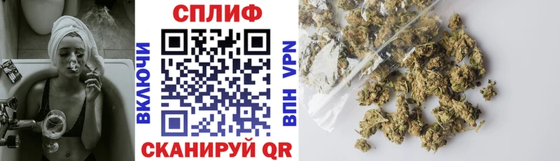 Виды наркоты Белгород ГАШ Псилоцибиновые грибы Мефедрон АМФЕТАМИН Канабис Alpha-PVP COCAIN