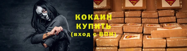 твердый Касимов