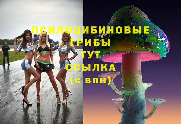 гашик Карпинск