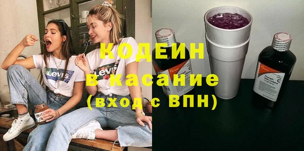 гашик Карпинск