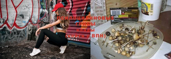 твердый Касимов