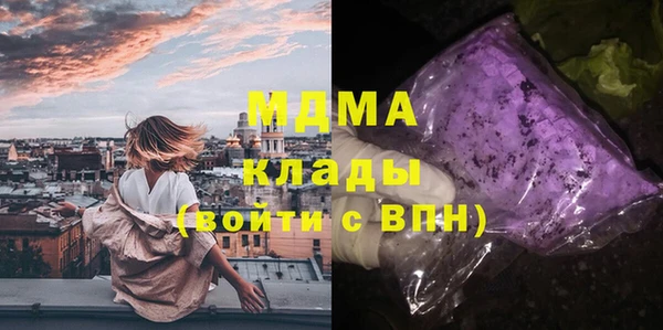 гашик Карпинск