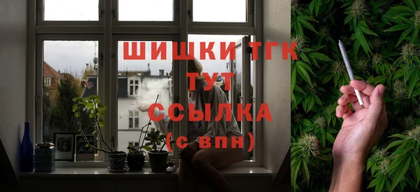 гашик Карпинск