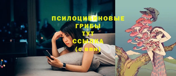 гашик Карпинск