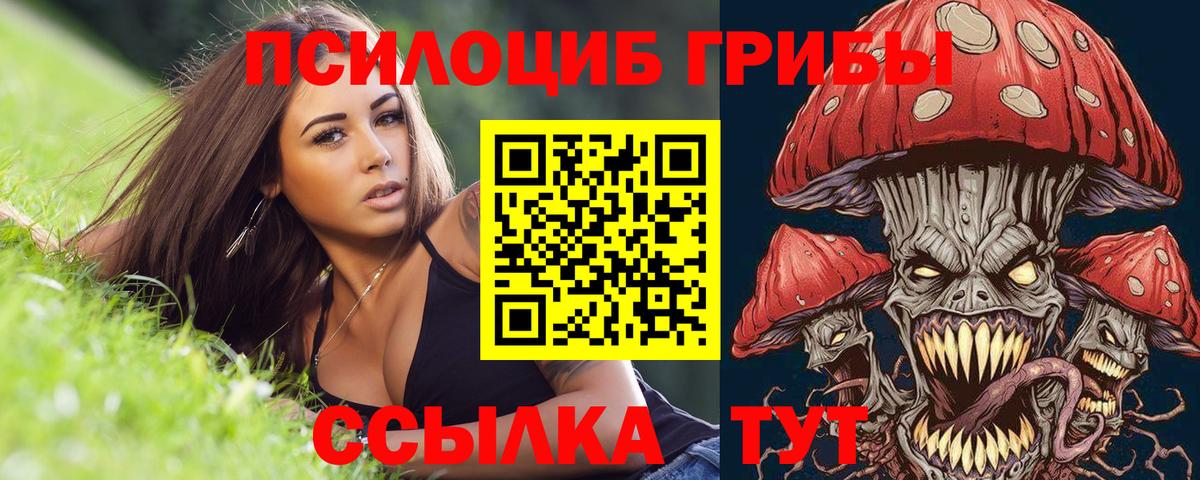 Псилоцибиновые грибы мухоморы  Вход с VPN  Белгород 